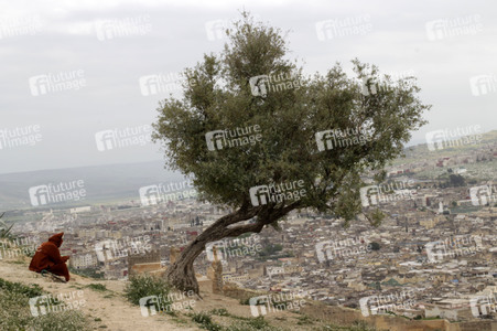 Sightseeing Fez