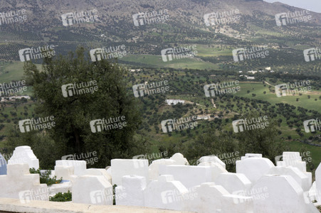 Sightseeing Fez