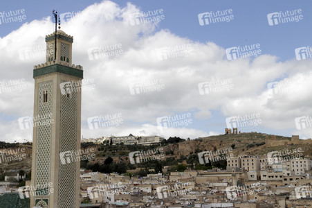 Sightseeing Fez