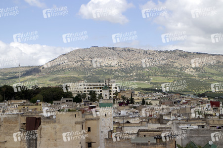 Sightseeing Fez