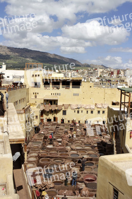 Sightseeing Fez