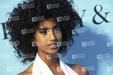 Tiffany & Co. Präsentation der Blue Book Collection in New York