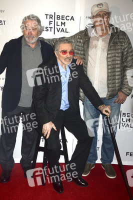 'Dog Years' Premiere, Tribeca Film Festival 2017 in New York