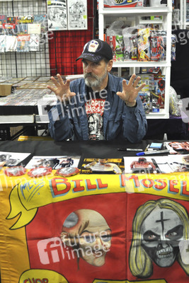Comic Con Revolution in Ontario