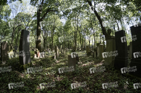 Symbolfoto Friedhof