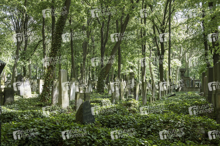 Symbolfoto Friedhof