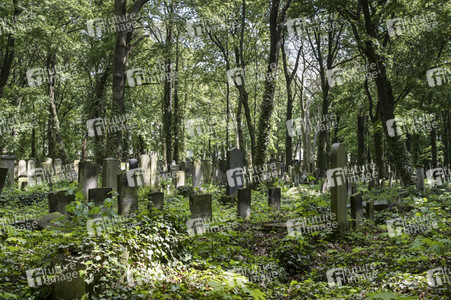 Symbolfoto Friedhof