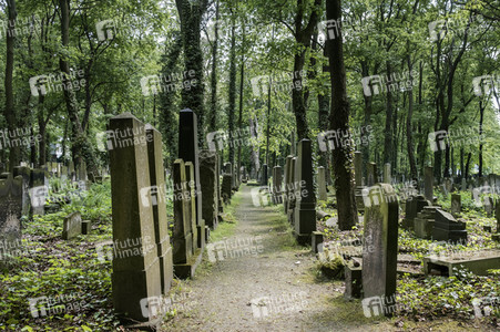 Symbolfoto Friedhof