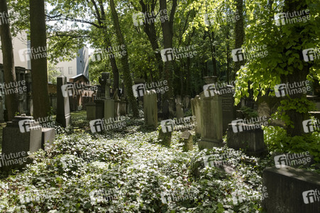 Symbolfoto Friedhof