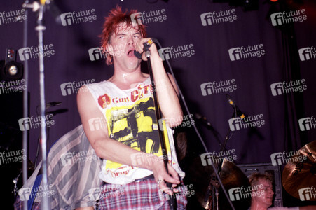 Konzert der Toten Hosen in London