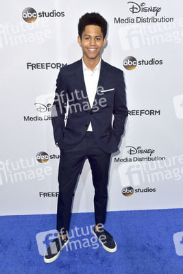 ABC/Disney Programmpräsentation 2017 in Burbank