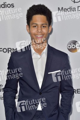 ABC/Disney Programmpräsentation 2017 in Burbank
