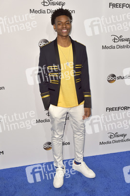 ABC/Disney Programmpräsentation 2017 in Burbank