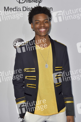 ABC/Disney Programmpräsentation 2017 in Burbank