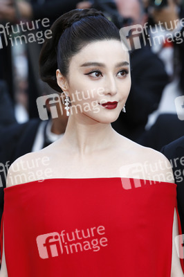 'The Beguiled' Premiere, Cannes Film Festival 2017