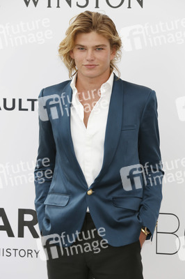 amfAR's Cinema Against Aids Gala, Cannes Film Festival 2017