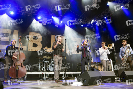 Elbjazz Festival 2017 in Hamburg