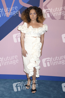 CFDA Fashion Awards 2017 in New York