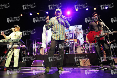 Konzert der Beach Boys in Hamburg