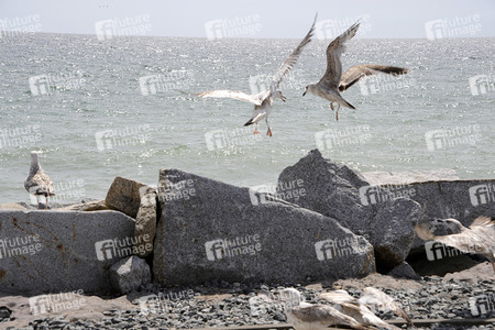 Impressionen von Sassnitz auf Rügen