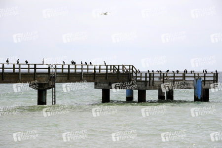 Impressionen von Sassnitz auf Rügen
