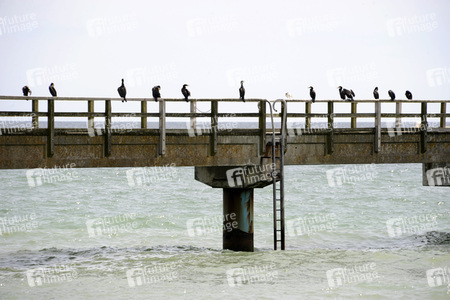 Impressionen von Sassnitz auf Rügen