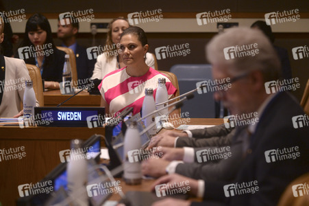 Prinzessin Victoria von Schweden bei der UN in New York