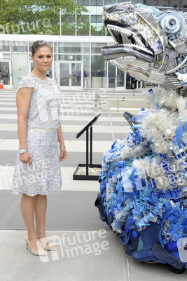 Prinzessin Victoria von Schweden bei der UN in New York
