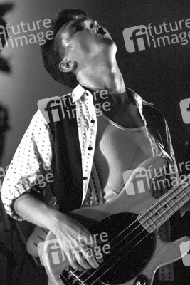 Konzert von Shriekback in London