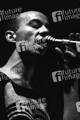 Konzert von Shriekback in London