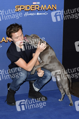 Photocall zu 'Spider-Man: Homecoming' in London