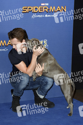 Photocall zu 'Spider-Man: Homecoming' in London