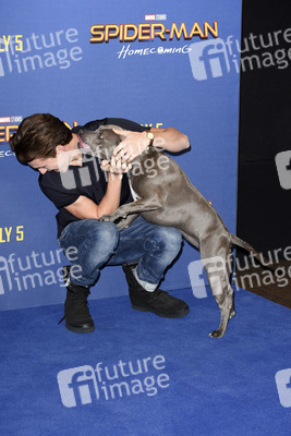 Photocall zu 'Spider-Man: Homecoming' in London