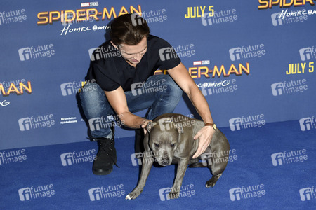 Photocall zu 'Spider-Man: Homecoming' in London