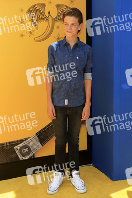 Filmpremiere 'Ich - Einfach unverbesserlich 3' in Los Angeles