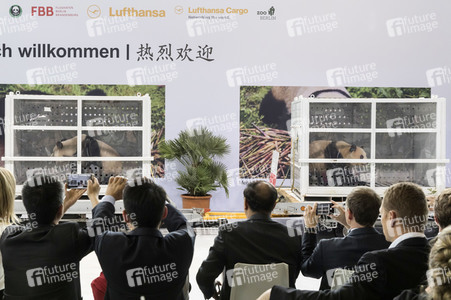 Ankunft der Pandabären Meng Meng und Jiao Qing in Berlin