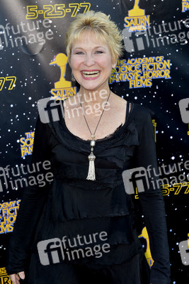 43. Saturn Awards in Burbank