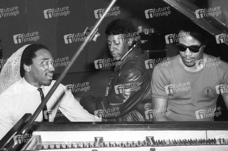 Photoshooting mit Cashmere in London