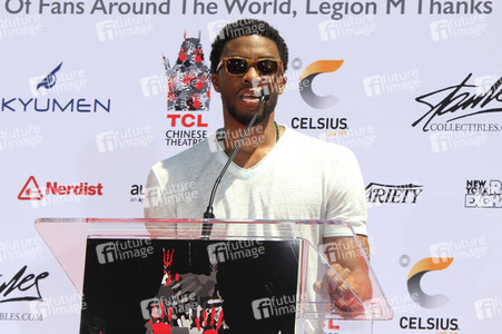 Hand and Footprint Ceremony mit Stan Lee in Los Angeles