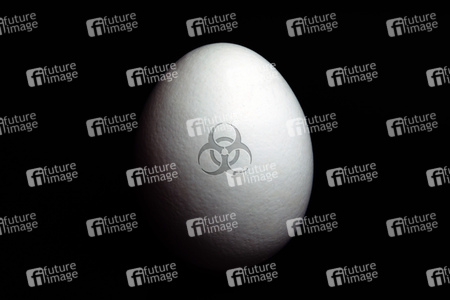 Symbolfoto Eier-Skandal