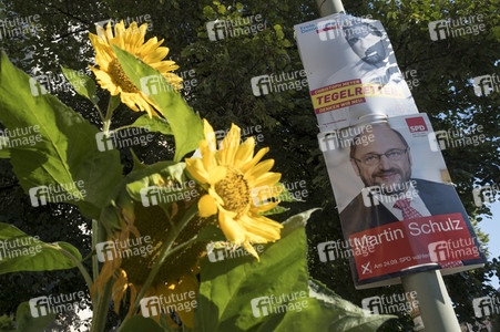 Bundestagswahlkampf-Plakate in Berlin