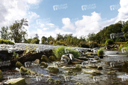 'Nature Art - Bodypainting in Landscapes' Kalender 2018