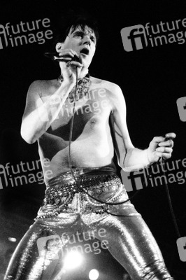 Konzert von The Cramps in London