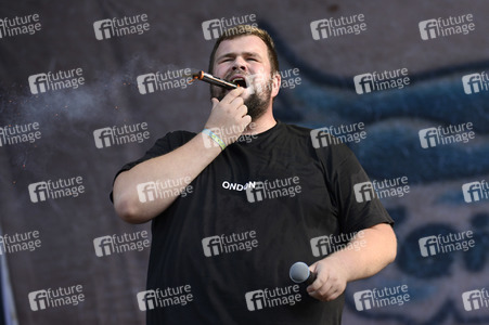 Highfield Festival 2017 in Großpösna