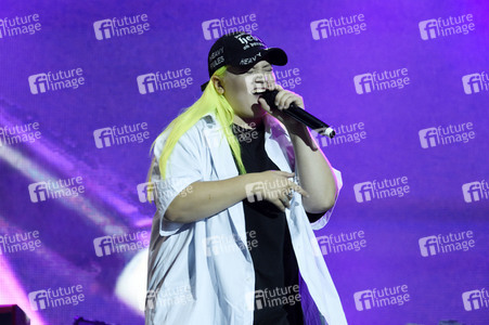 Stars for Free 2017 in Berlin
