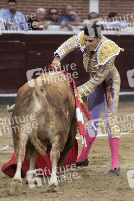 Stierkampf in San Sebastián de los Reyes