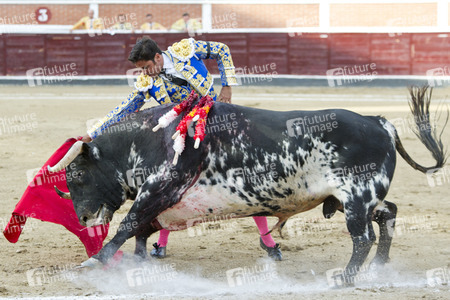 Stierkampf in San Sebastián de los Reyes