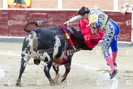 Stierkampf in San Sebastián de los Reyes