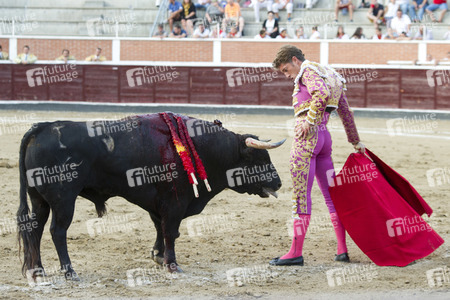 Stierkampf in San Sebastián de los Reyes