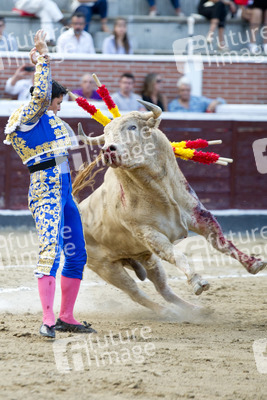 Stierkampf in San Sebastián de los Reyes